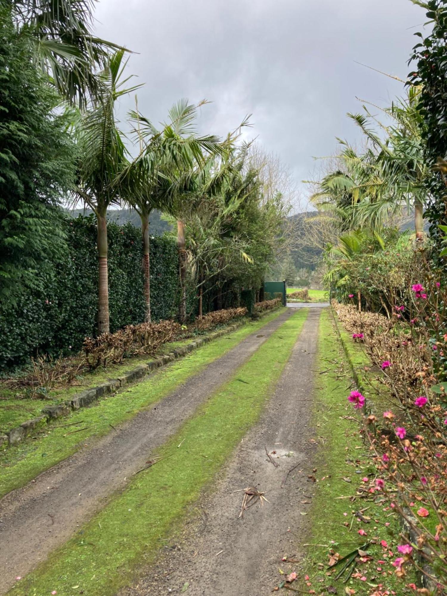 Gasthuis Quinta De Santana - Queimadas